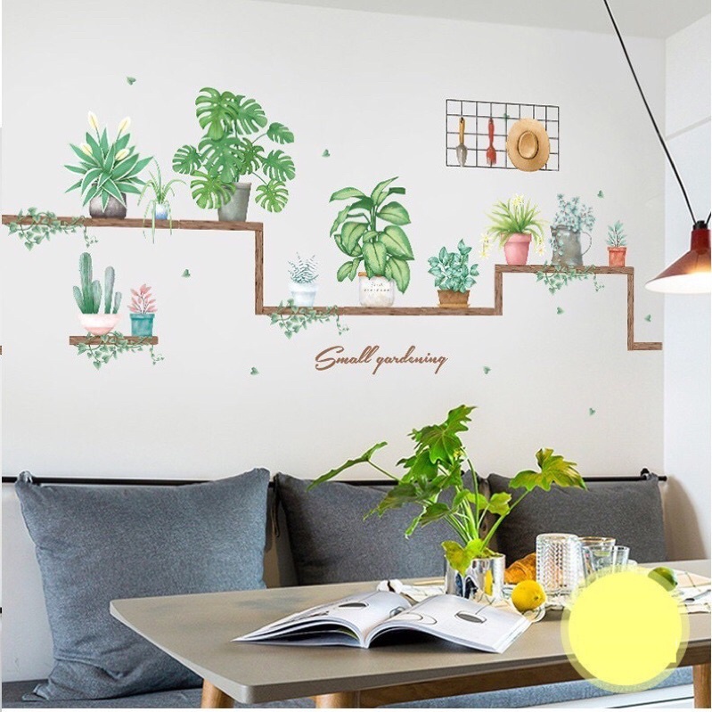 Decal dán tường, Tranh dán tường kệ chậu cây Hàn Quốc.