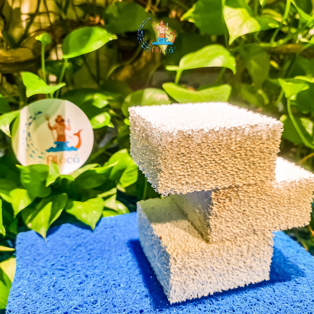 Sứ tàu hũ Ceramic chính hãng loại 1, viên vuông 10x10x5cm lọc nước, loại bỏ amoniac, nitrat bể cá cảnh