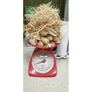 Sâm 30 củ Hầm gà