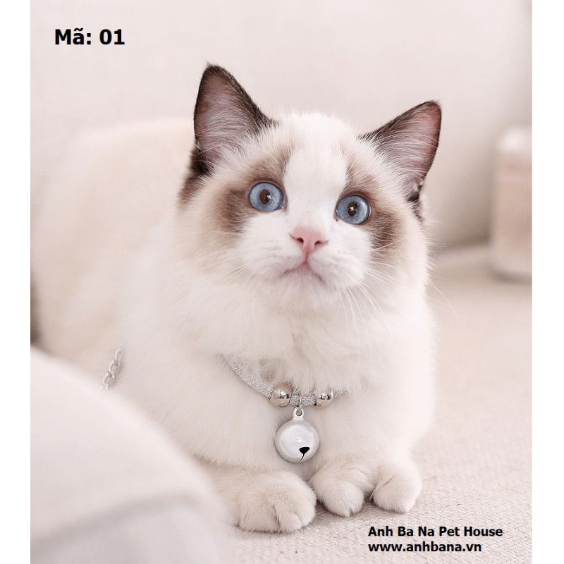 ( Siêu Rẻ)Dây đeo cổ Mèo có chuông phong cách Nhật- xích cổ có chuông giá rẻ