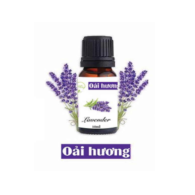 Tinh dầu Lavender (Oải Hương) - tinh dầu thiên nhiên nguyên chất 10ml