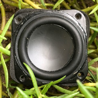 Củ loa toàn dải JBL GO