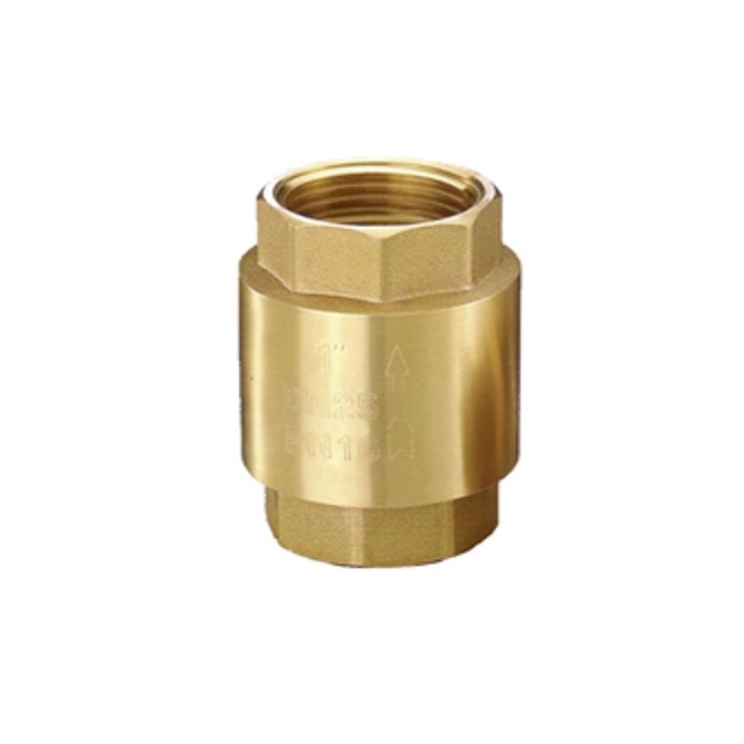 VAN 1 CHIỀU LÒ XO ĐỒNG THAU 21/27/34/42/49/60MM