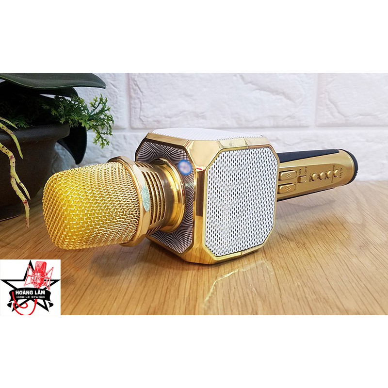 Micrro Karaoke SD-10