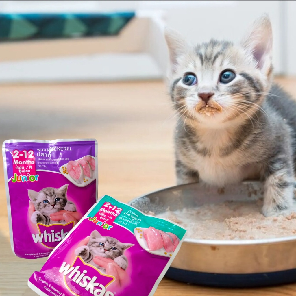 (Bình tân)(Hada Petshop) Pate WHISKAS cho mèo 85gr