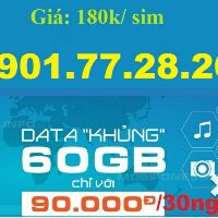 Sim lướt web 2GB/ ngày