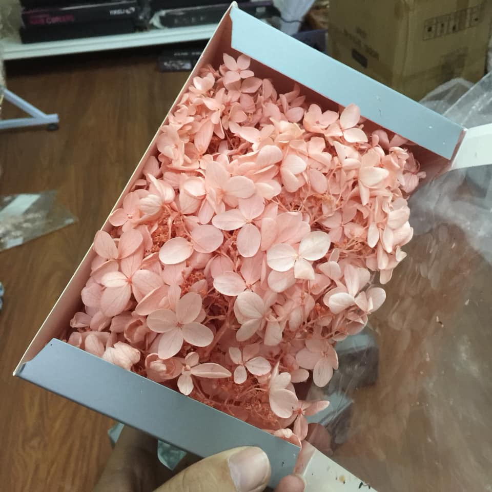 Hộp hoa khô siêu lớn
