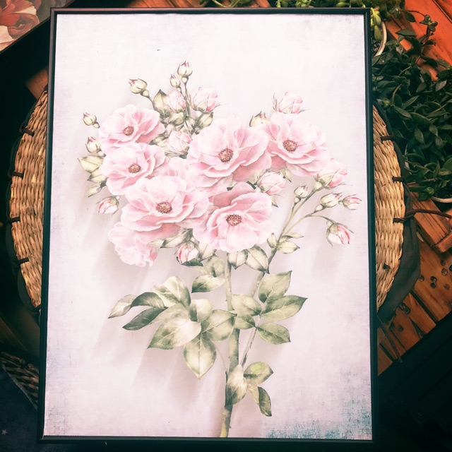 Tranh canvas 1 bức 40x60