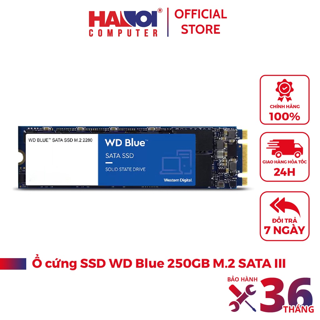 Ổ cứng SSD WD Blue 250GB M.2 SATA III (Đọc 550MB/s - Ghi 525MB/s) - (WDS250G2B0B)