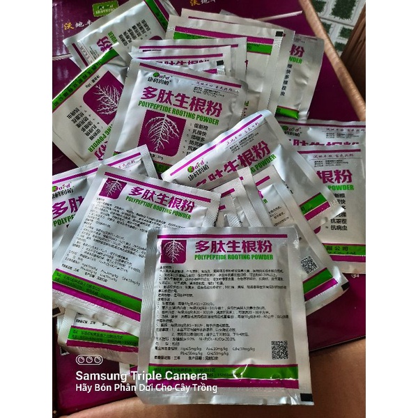 Siêu kích rễ Polypeptide rooting powed