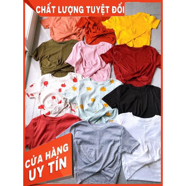 Áo croptop xoắn eo tay ngắn- vải dư xịn thun gân tăm