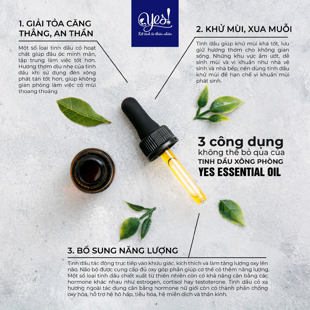 TINH DẦU GỖ HỒNG YES! ( ROSEWOOD ESSENTIAL OIL )