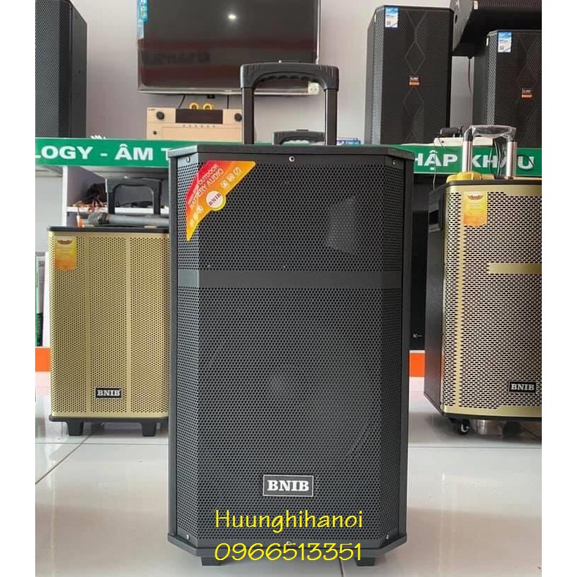 Loa karaoke di động, loa kéo karaoke BNIB 1297 bas 3 tấc, thùng gỗ 2 mic không dây hát hay, bảo hành 12 tháng