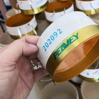 1 Coil loa dây dẹp (Peavey)