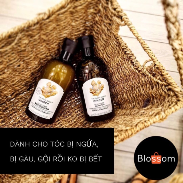 Dầu gội hữu cơ - gừng tóc gàu/ fuji kiềm dầu - The body shop rất hiệu quả rất thích | BigBuy360 - bigbuy360.vn