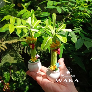 Hoa Đất Sét Mini-Cây Chuối Mini 15cm