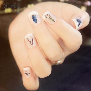 Miếng dán móng trang trí nghệ thuật