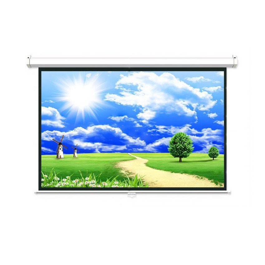 Màn chiếu treo tường Dalite P70WS  - 100 inch