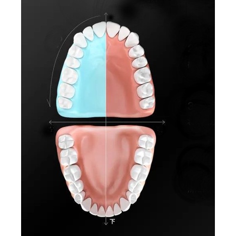 Bộ bàn chải đánh răng điện SUMKYLE SONIC-VV2206