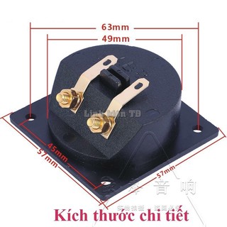 Máng cọc loa đôi ảnh thật