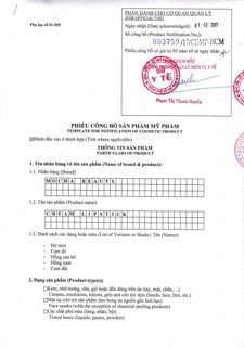 SON KEM MÀU CAM ĐẤT