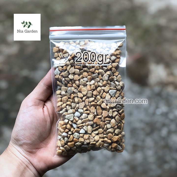 Sỏi vàng size 0.6 - 1 cm trang trí trải gốc chậu cây cảnh hồ cá terrarium Nia Garden N6