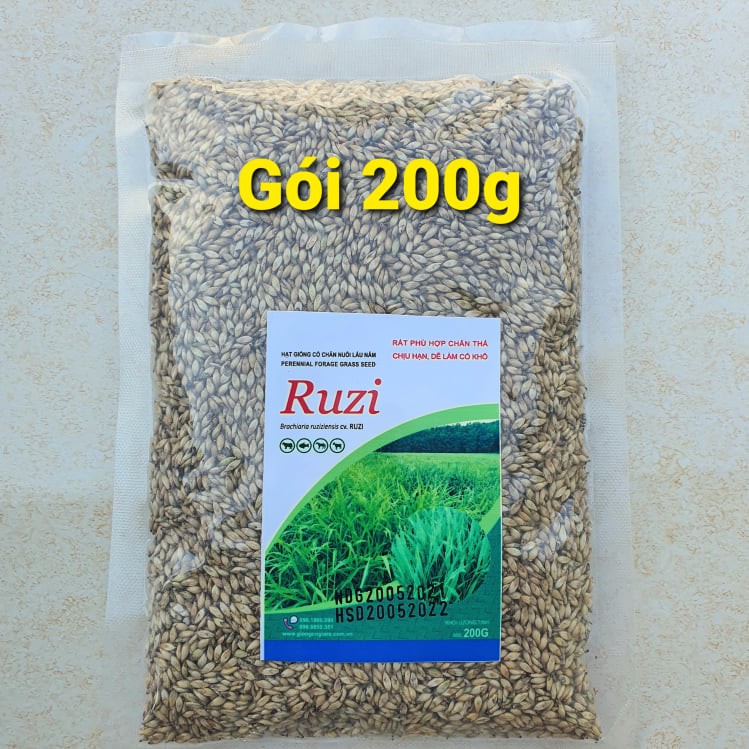 Giống Cỏ Ruzi Grass (Gói 200g) - Giống Cỏ Chăn Nuôi Trồng Chăn Thả