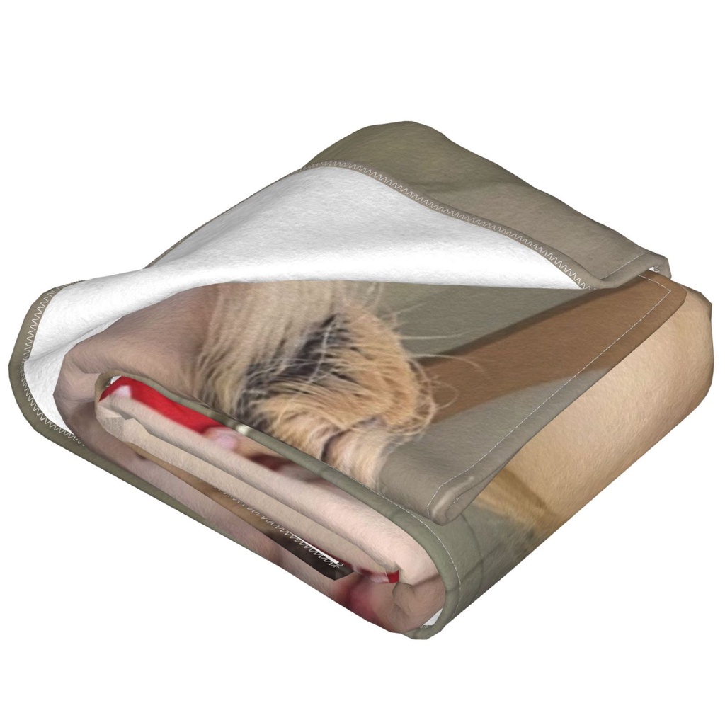 Chăn Bông In Hình Blackpink ROSE