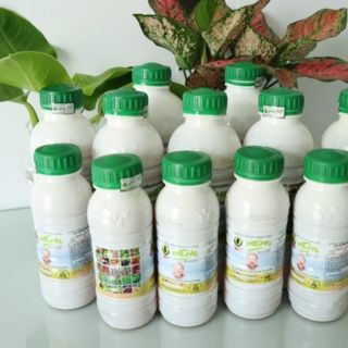 PHÂN SINH HỌC WEHG