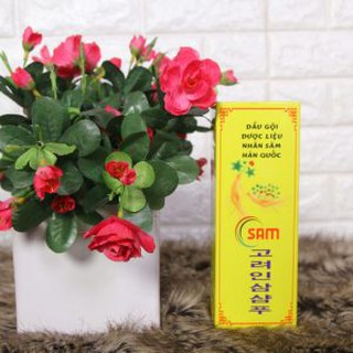 DẦU GỘI NHÂN SÂM PHỤC HỒI TÓC