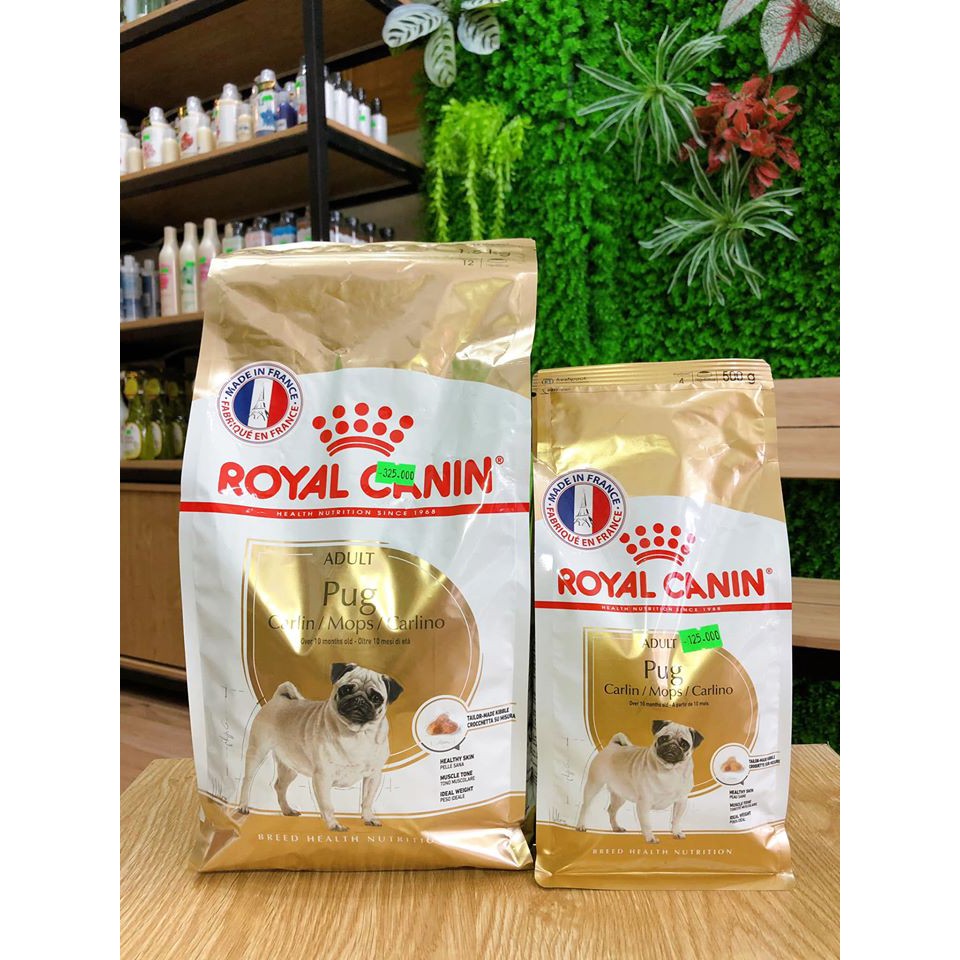 ROYAL CANIN Thức ăn hạt dành riêng cho PUG 500gram