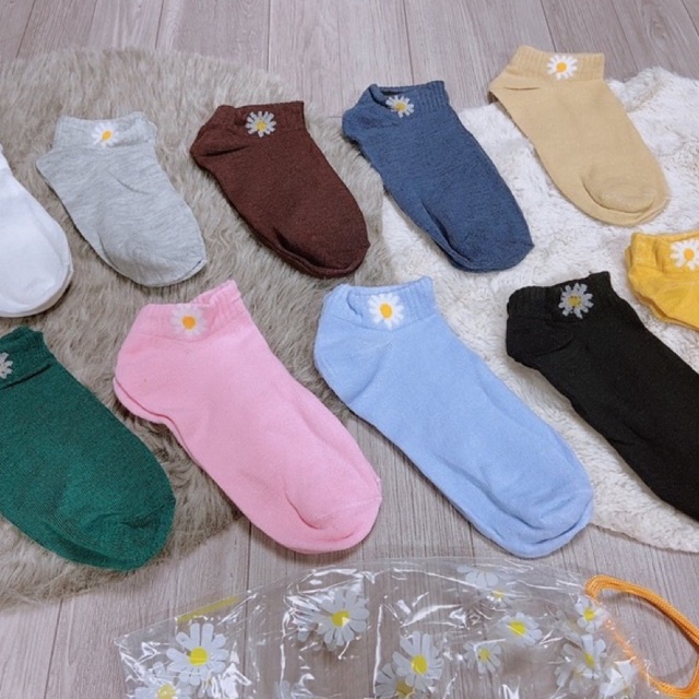 Tất gấu 1 túi 10đôi 10 màu Túi tất gấu QC