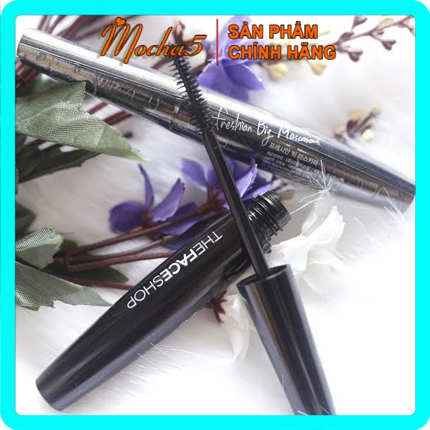 Mascara chuốt mi THE FACE SHOP Freshian Big TFS làm dày và dài mi