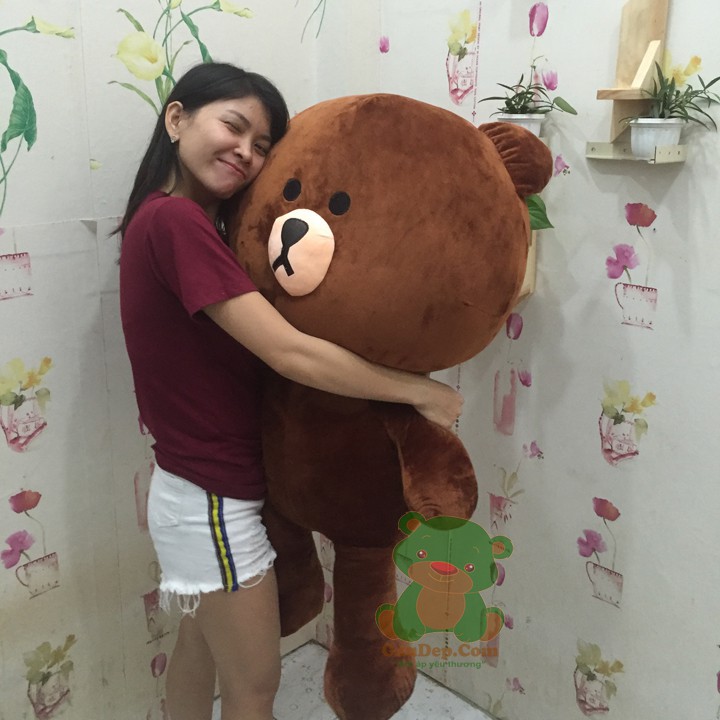 [Ảnh thật tự chụp] Gấu bông teddy brown khổ vải 1m2 - Guco