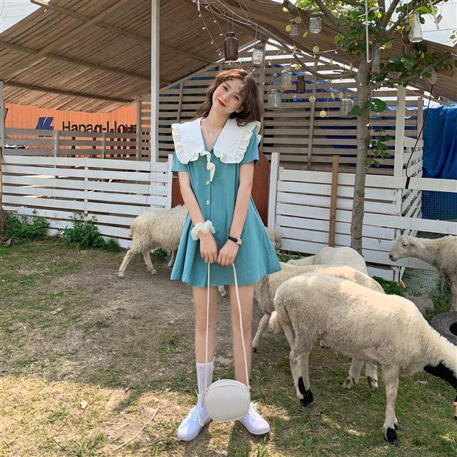 Women's dress Summer fashion dress