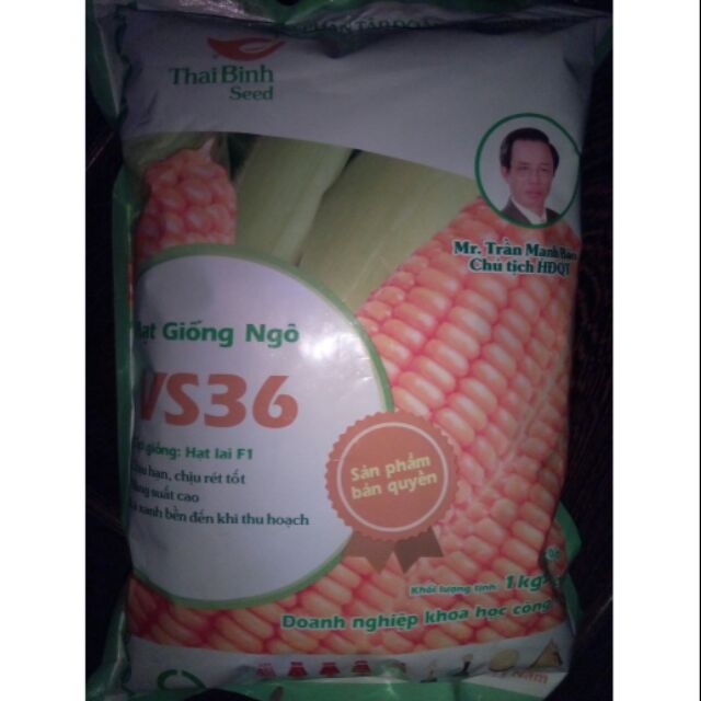 HẠT GIỐNG NGÔ TẺ (1Kg)