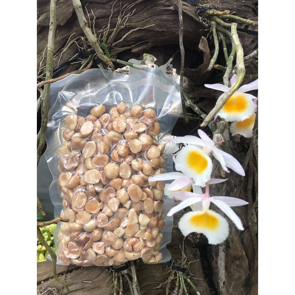 500GR NHÂN MACCA ĐÃ TÁCH VỎ - XUẤT XỨ LÂM ĐỒNG | BigBuy360 - bigbuy360.vn