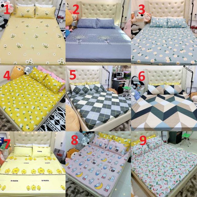 Bộ ga và 2 vỏ gối cotton poly