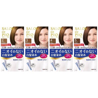 Nhuộm phủ bạc Salon De Pro