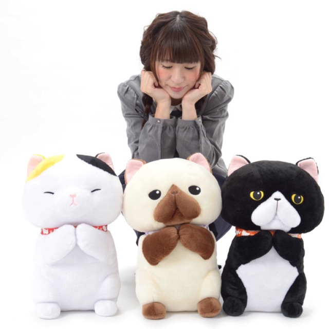 Set 3 Mèo Amuse New 100%