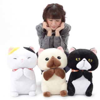 Set 3 mèo amuse new 100%