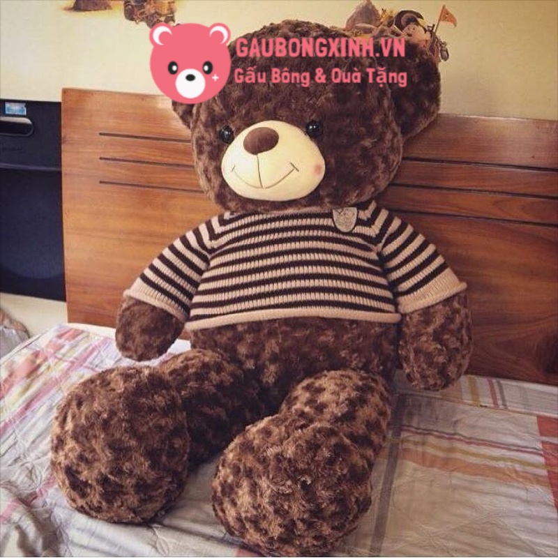 Gấu Bông Teddy Socola Size Vừa 80 - 1m4, Thú nhồi bông teddy phổ biến nhất hiện nay phù hợp làm gối ôm quà tặng cho bé