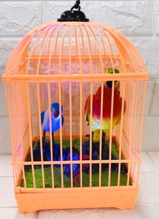Lồng chim biết hát - Đồ chơi trẻ em