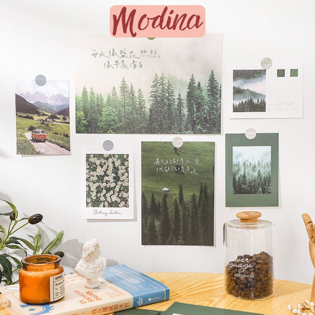 Tranh dán tường trang trí set 20 tờ, ảnh dán tường decor nhiều phong cách