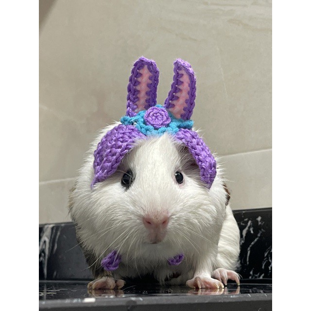 SET ÁO LEN GẤU BROWN CHO HAMSTER, CHUỘT, BỌ Ú...