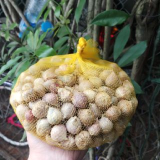 1kg tỏi cô đơn ta