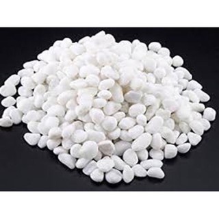 Đá sỏi trắng trang trí bể cá, chậu cây cảnh