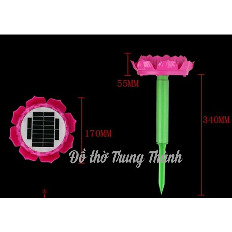 Máy Niệm Phật Hoa Sen Năng Lượng Mặt Trời