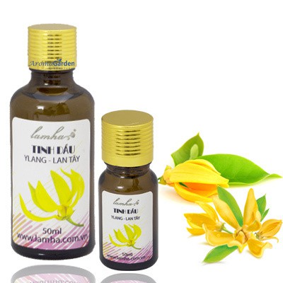 TINH DẦU LAN TÂY