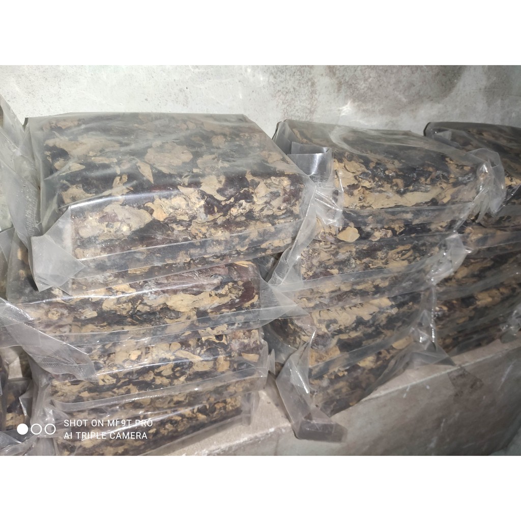[Mã GROSALEHOT giảm 8% đơn 250K] 1Kg Mộc nhĩ, Nấm mèo bánh giá rẻ nhất thị trường | BigBuy360 - bigbuy360.vn
